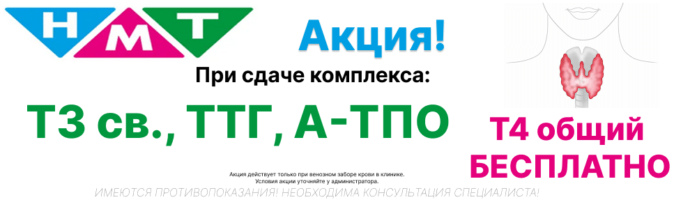 т4
